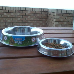 Elevated food bowls